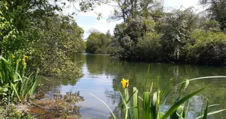 Le fleuve Charente