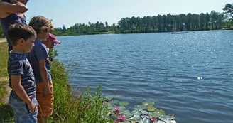 Circuit pedestre Landes de la Bonne aux Lievres N20 Lac de Montendre 2