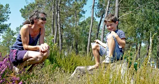 Circuit pedestre Landes de la Bonne aux Lievres N20 Lac de Montendre