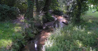 Circuit pedestre Landes de la Bonne aux Lievres N20 Montendre