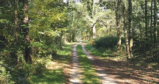Circuit VTT Le grand gibier N5 Bois Lycee agricole Saint Antoine Foret de la Lande