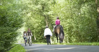 Circuit VTT Circuit de la Voie Verte N21 Chevanceaux St Palais de Negrignac Lary