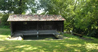 Circuit VTT Circuit de la Voie Verte N21 Chevanceaux St Palais de Negrignac Lary 5