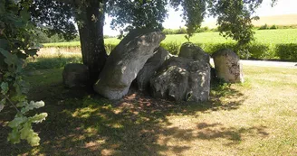 Circuit VTT Circuit de la Voie Verte N21 Chevanceaux St Palais de Negrignac Lary 7