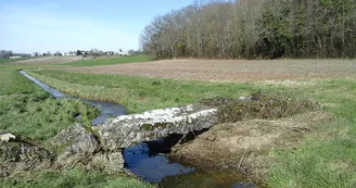 Circuit VTT Champagnac Ozillac N10 Cendronne Seugne Haute-Saintonge 3