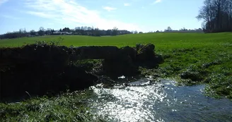 Circuit VTT Champagnac Ozillac N10 Cendronne Seugne Haute-Saintonge 4