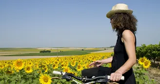 Circuit VTC N1 Salignac sur Charente bourg Flow Velo Port du Lys fleuve Charente