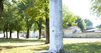 Circuit VTC N1 Salignac sur Charente bourg Flow Velo Port du Lys fleuve Charente 4