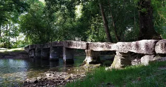 Circuit pedestre La Voie Romaine N7 Neuillac Haute-Saintonge 4