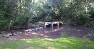 Circuit pedestre Pont des Anes N18a Clion