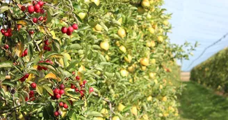 Circuit pedestre St-Georges N19 St-Georges-Antignac Haute-Saintonge 2