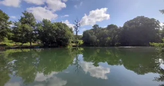 Bords de Charente