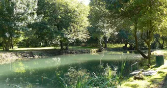 Circuit VTC N21 St Leger Lijardiere en famille Seugne Pons Cite medievale Charente