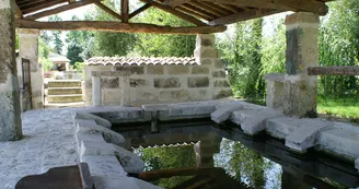 Circuit VTC N12 Coulonges vignes Petite Champagne 2 Vignoble du Cognac 2