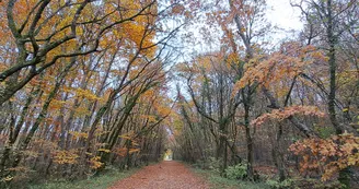 haies de Villefagnan