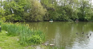 mare aux canards de la Ferté