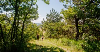 Sentier panorama sur la Dronne_Saint-Quentin-de-Chalais