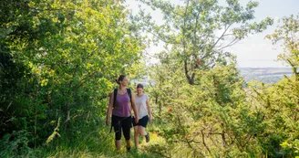 Sentier le parcours des fontaines_Saint-Quentin-de-Chalais