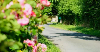 rue fleurie de Barbezières