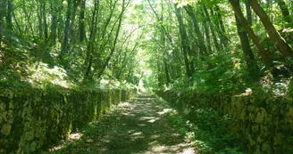 La Vallée du Coran_Dompierre-sur-Charente