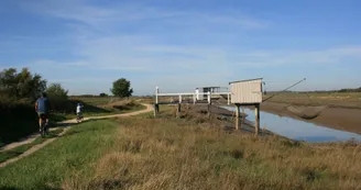 Les chemins de la Seudre_Bourcefranc-le-Chapus