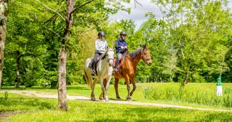 La route des cardinaux : Dampierre / St-Savinien_Dampierre-sur-Boutonne