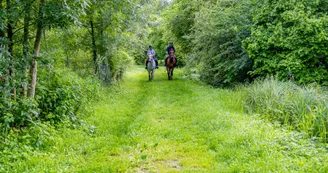 La route des Cardinaux : Pont l'Abbé / Cozes_Pont-l'Abbé-d'Arnoult