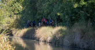 La Route des Cardinaux : Cozes / St Bonnet sur Gironde_Cozes
