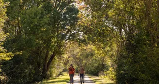 Parcours pédestre : Entre terre et marais_Lussant
