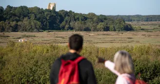 Parcours pédestre : La Héronnière_Saint-Jean-d'Angle