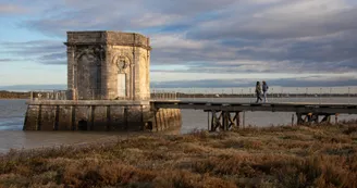 Parcours pédestre : La Saint-Nazairienne_Saint-Nazaire-sur-Charente