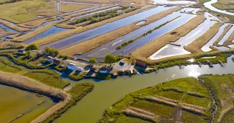 Circuit pédestre: Balade entre Petit Nieulle et Grand Nieulle_Nieulle-sur-Seudre