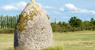 Circuit pédestre: Balade entre Petit Nieulle et Grand Nieulle_Nieulle-sur-Seudre