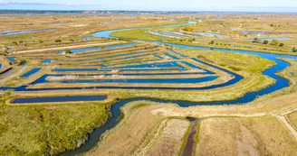 Circuit pédestre : A la découverte des ports de Marennes_Marennes-Hiers-Brouage