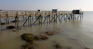Parcours pédestre : L'anse de Fouras_Fouras-les-Bains Parcours pédestre : L'anse de Fouras_Fouras-les-Bains
