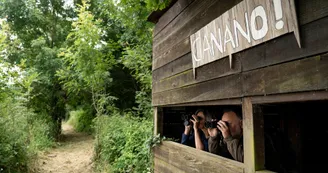 Balade / randonnée : Du village de St Sornin à la tour de Broue_Saint-Sornin