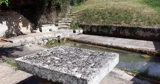 JAULDES-Treillis-lavoir