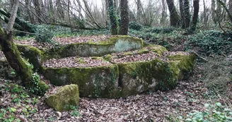 Saint Saturnin-Blocs_Pierres_taillées