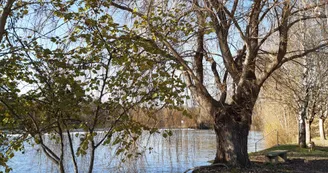 Bord de Charente