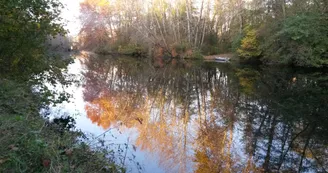 Bord de Charente