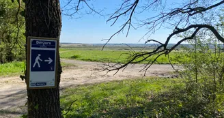campagne vue